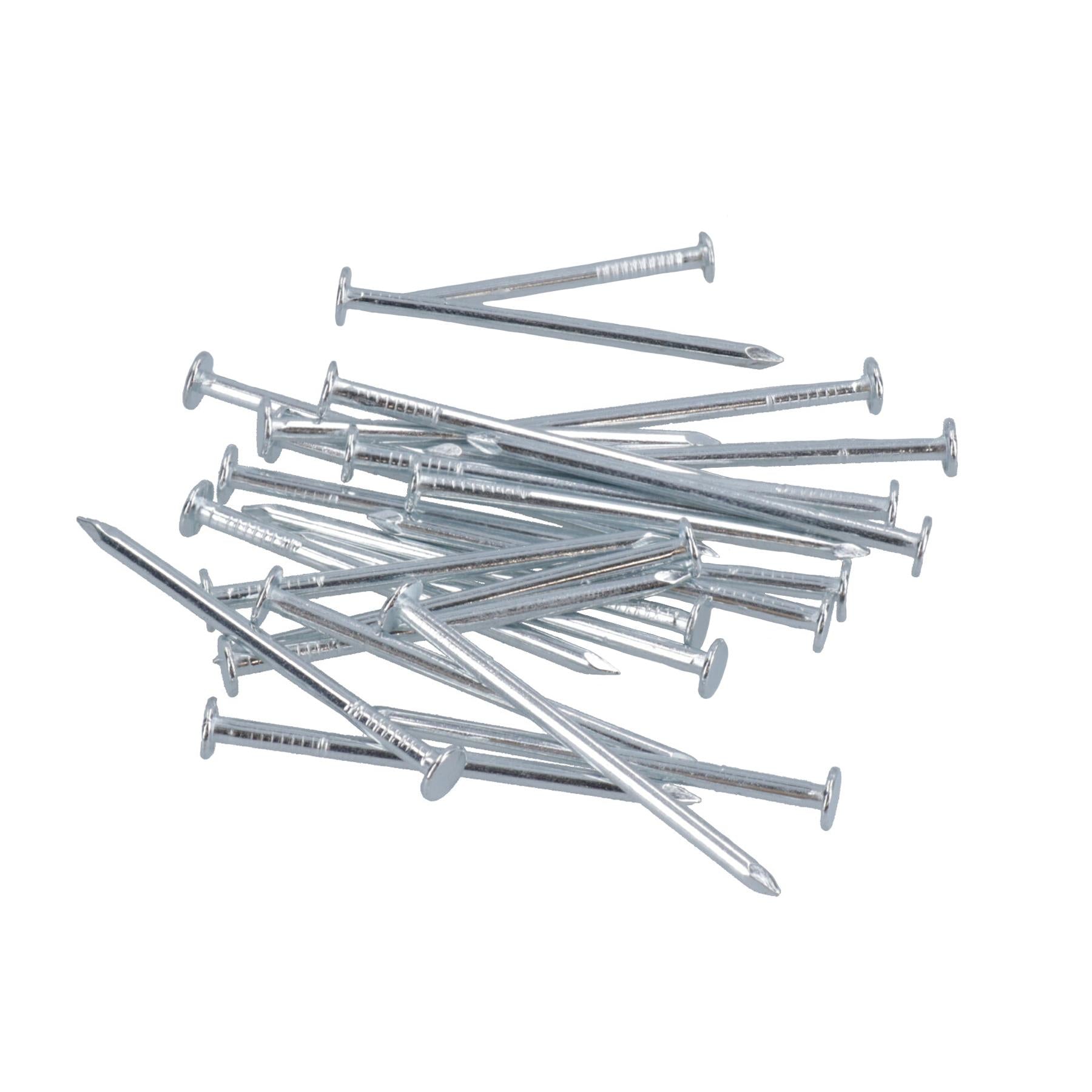124pc Nail Assortment Flat and Domed Head Panel Pins Carpentry Wood Plasterboard