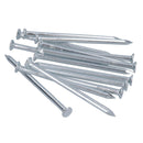 124pc Nail Assortment Flat and Domed Head Panel Pins Carpentry Wood Plasterboard