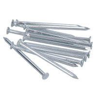 124pc Nail Assortment Flat and Domed Head Panel Pins Carpentry Wood Plasterboard