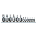 Male Torx Star Sockets 1/4" And 3/8" Drive T10 - T60 12pc Set On A Rail