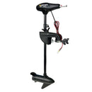 Minn Kota Endura C2 30 lb Transom Mount Trolling Motor 12v Electric Outboard