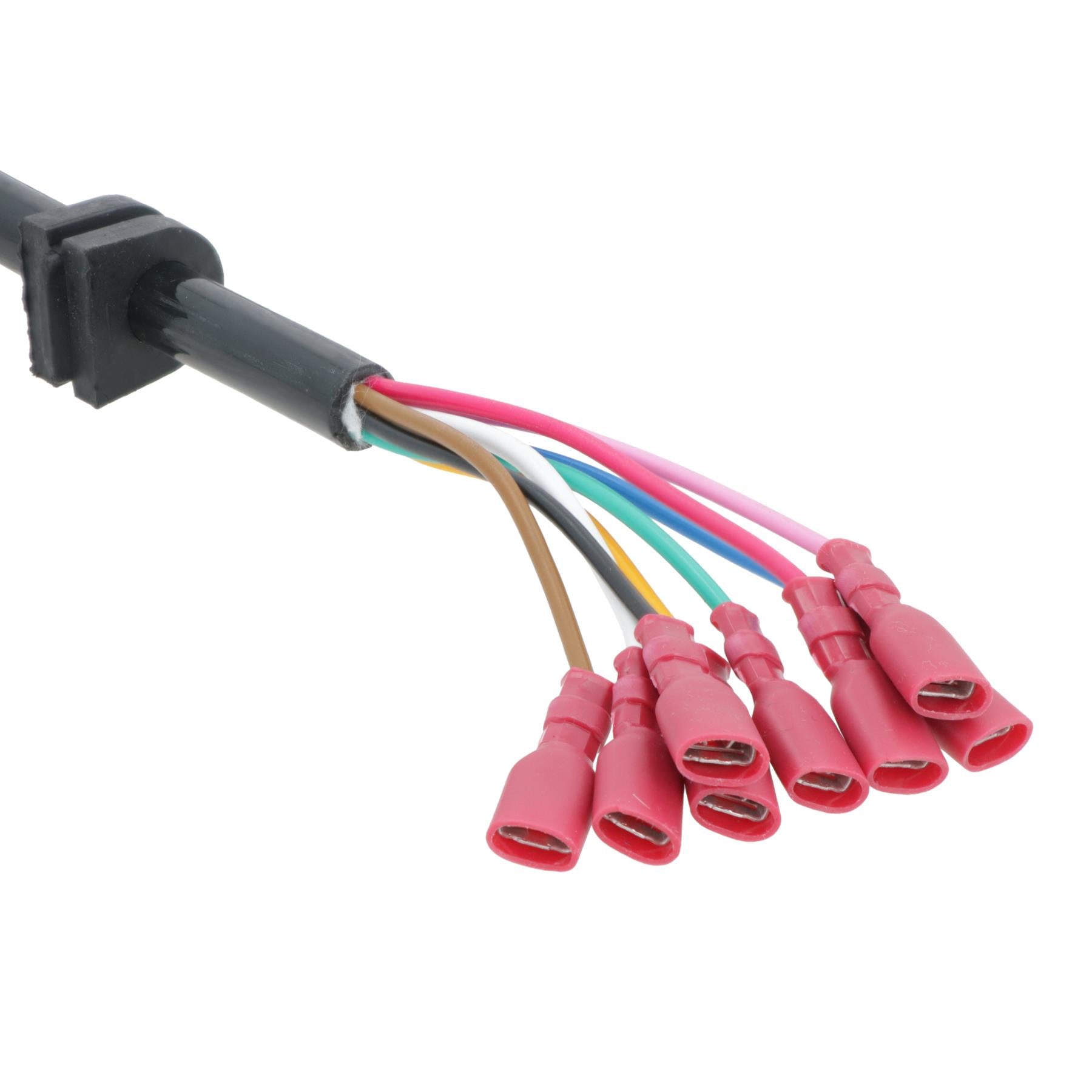 13 Pin Style Plug With Trailer Curly Extension Lead Cable 4 Metres For Ifor Williams