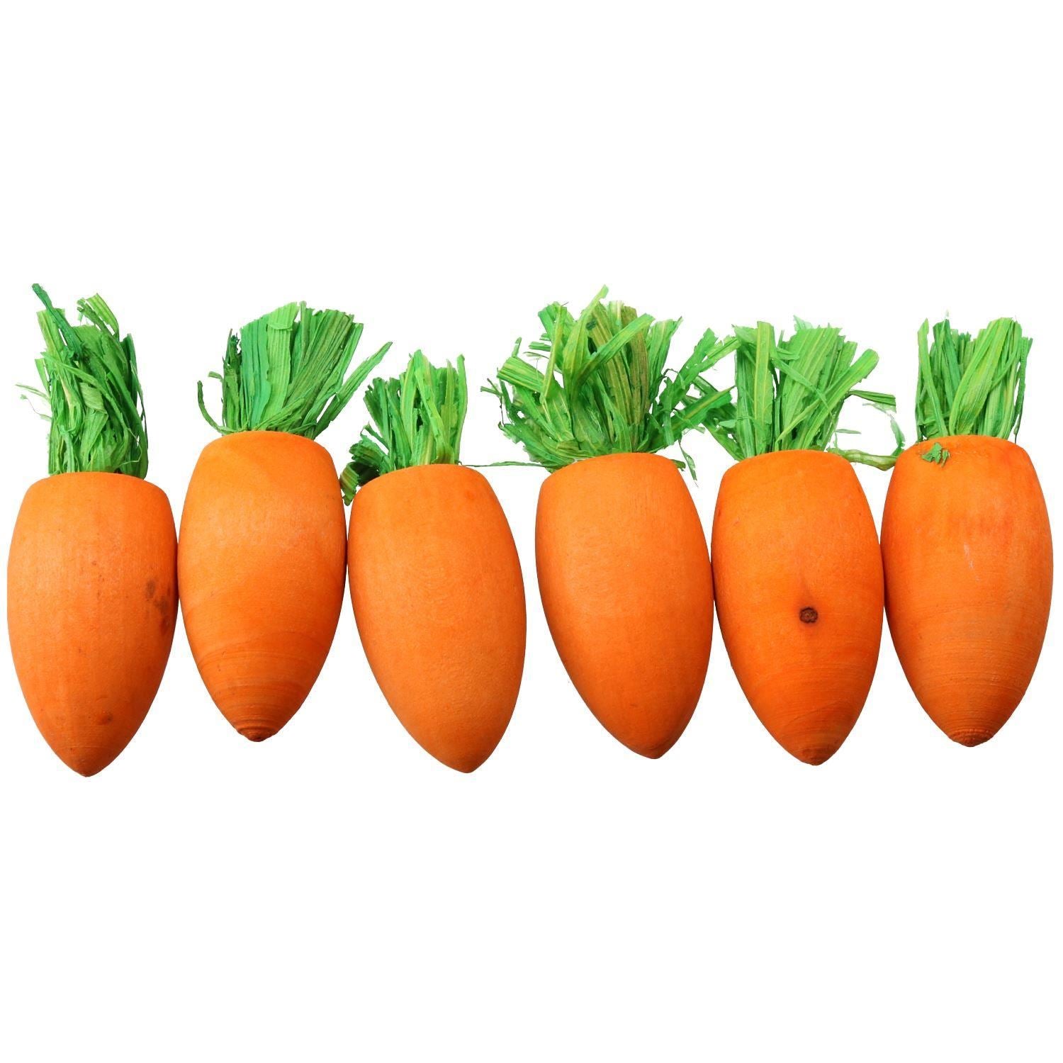 Small Animals Hamster Activity Carrot Toy 'n' Treat Holder & 9 Wooden Carrots