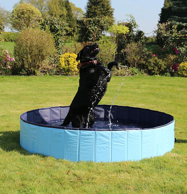 Pet Heat Relief Cool Down Dog Swimming Pool -  Not Just For Dogs