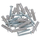 3.5mm x 25mm PZ2 Countersunk Wood Screws Fasteners with Raw Plugs
