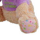Super Soft Plush Squeaky Birthday Bear Dog Puppy Happy Birthday Gift